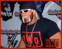 Hollywood Hogan