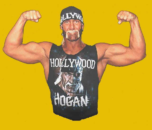 Hollywood Hogan